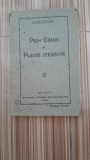 Prin campi si plaiuri strabune - Ilie Gherghel