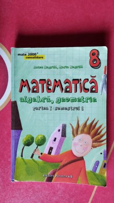 MATEMATICA ALGEBRA GEOMETREI CLASA A 8 A PARTEA I SEMESTRUL 1 ANTON NEGRILA foto