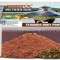 Haldorado - FermentX Method Box 400g - Acid lactic + Carp mare