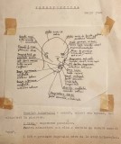 RAR Manuscris PRESOPUNCTURA &ndash; Sabin Ivan Text batut la masina. Ilustratii de mana pe hartie calc. Format 21x30cm Stare conform poze