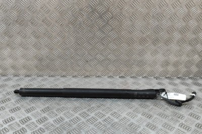 Amortizor haion dreapta AUDI Q4 SUV F4B 2023 OEM: 89A827851B | 29082911 foto