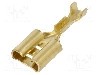 Terminal tip plat, pentru surub {{Orificiu pentru &amp;#351;urub}}, IMP - 662.08.00.3