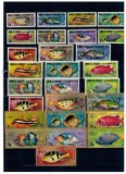 Umm al Qiwain 1967 - Pești, fauna, serie dantelata neuzata