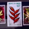 Comores 1969 flori, plante flora serie 5v neștampilată
