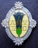 I.980 INSIGNA TURISM DRUMETIE AVSO 25 JAHRE ALPENVEREIN SEKTION OBERLAND