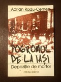 Adrian Radu-Cernea - Pogromul de la Iași. Depoziție de martor