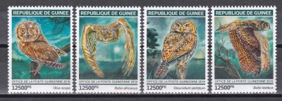 Guineea 2019 - Bufnițe, MNH foto