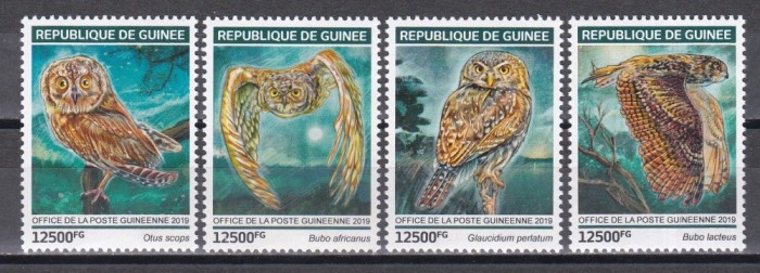 Guineea 2019 - Bufnițe, MNH