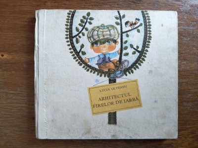 Arhitectul firelor de iarba - Lucia Olteanu, 1980 II / C0G foto