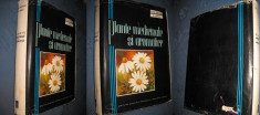 9064-I-Plante Medicinale si Aromate- Academia RPR 1962 editie deosebita mare. foto