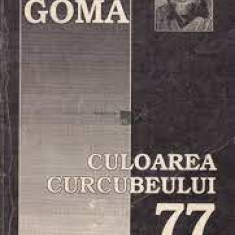Culoarea curcubeului 77, Paul Goma