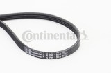CONTINENTAL CTAM 4PK1538 Curea transmisie cu caneluri