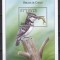 Congo 2000 - Păsările din Congo, Colita, MNH