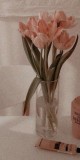 Husa Personalizata ALLVIEW A5 Easy Tulips
