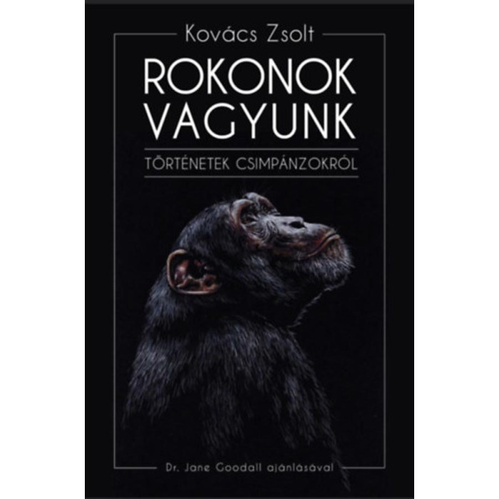 Rokonok vagyunk - T&ouml;rt&eacute;netek csimp&aacute;nzokr&oacute;l - Kov&aacute;cs Zsolt