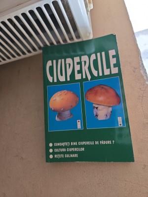 Ciupercile - P. Vlad foto