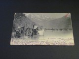Carte Poștală Vintage Elveția - Castelul Chillon și Dent du Midi, , Poduri (cel mai probabil din perioada 1900&ndash;1940)