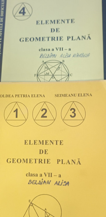 ELEMENTE DE GEOMETRIE PLANA CLASA A VII A BOLDEA PETRIA SEIMEANU ELENA