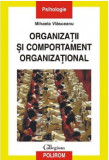 Organizatii si comportament organizational | Mihaela Vlasceanu, Polirom