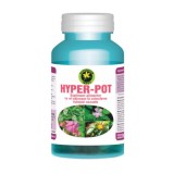 Cumpara ieftin Hyper-Pot 60cps Hypericum, Hypericum Plant