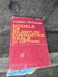 Modele de balante energetice reale si optime - A. Carabulea &amp; I. Gh. Carabogdan