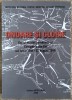 Onoare si glorie, exilul militar romanesc si Campania din Est// 2008