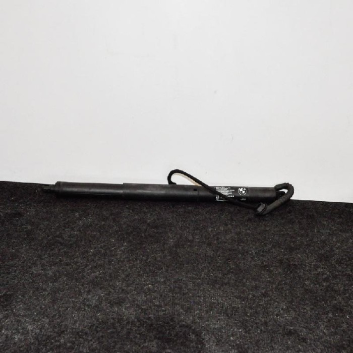 Amortizor haion dreapta BMW X5 F15, F85 2015 OEM: 7361878 | 2469294