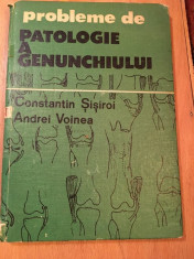 Probleme de patologie a genunchiului, C. Sisiroi si A. Voinea, Ed Academiei 1990 foto