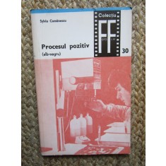 SYLVIU COMANESCU - PROCESUL POZITIV. ALB-NEGRU 2 volume