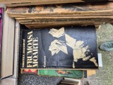 Frumoasa moarte vintage