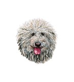 Cumpara ieftin Sticker decorativ Caine Puli, Gri, 60 cm, 3722ST, Oem