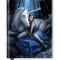 Anne Stokes: Blue Moon (Foiled Journal)