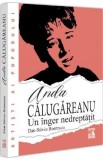 Anda Calugareanu, un inger nedreptatit - Dan-Silviu Boerescu