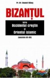 Bizantul, intre Occidentul crestin si Orientul islamic (sec. VII-XV) - Emanoil Babus