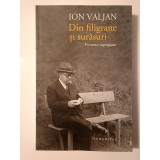 Ion Valjan - Din filigrane și sur&acirc;suri: portrete suprapuse (ed. Micaela Gulea)
