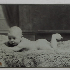 FOTOGRAFIE C.D.V. , STUDIO ALFRED KRAL , VIENA , BEBELUS PE BLANITA , IN STUDIO , CCA. 1900