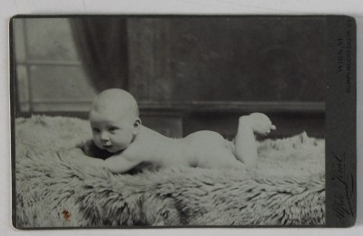 FOTOGRAFIE C.D.V. , STUDIO ALFRED KRAL , VIENA , BEBELUS PE BLANITA , IN STUDIO , CCA. 1900 foto