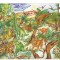 Puzzle observatie Dinozauri