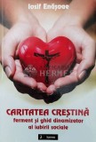 Cumpara ieftin CARITATEA CREȘTINĂ ferment şi ghid dinamizator al iubirii sociale - 2016 - Iosif Enasoae (Y4)