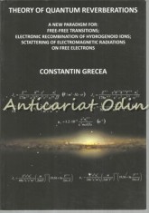 Theory Of Quantum Reverberations - Constantin Grecea