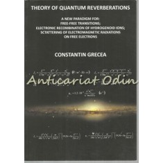 Theory Of Quantum Reverberations - Constantin Grecea