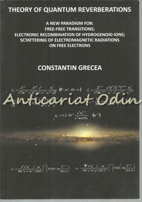 Theory Of Quantum Reverberations - Constantin Grecea foto