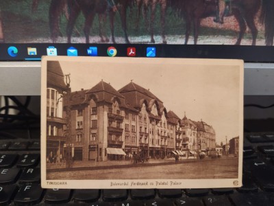 Timișoara, Bulevardul Ferdinand cu Palatul Palace, circa 1925, 205 foto