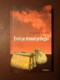 Joseph Roth - Evrei pe drumul pribegiei (pref. Lya Benjamin)