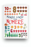 Marea carte despre numere, Litera