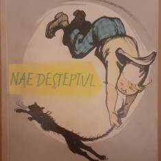 Anna Meliusz, Nae desteptul, ilustratii Eugen Taru, Tineretului 1961
