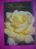 HOPCT 11501 PENTRU ..TINE ...TRANDAFIRI -CP FELICITARE FLORI- ROMANIA-NECIRCULATA