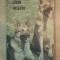 CAINII NOSTRI , BULETIN DOCUMENTAR , AUGUST 1985 de RUXANDRA NICOLESCU ... RADU CIOBANU