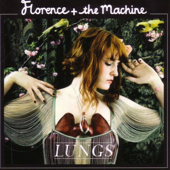 Florence The Machine Lungs (cd)
