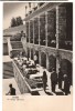 CPIB 15929 CARTE POSTALA - EFORIE. PE TERASA CAZINOULUI, RPR, Circulata, Fotografie